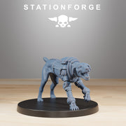 RoyalGuard Starfly - Only-Games