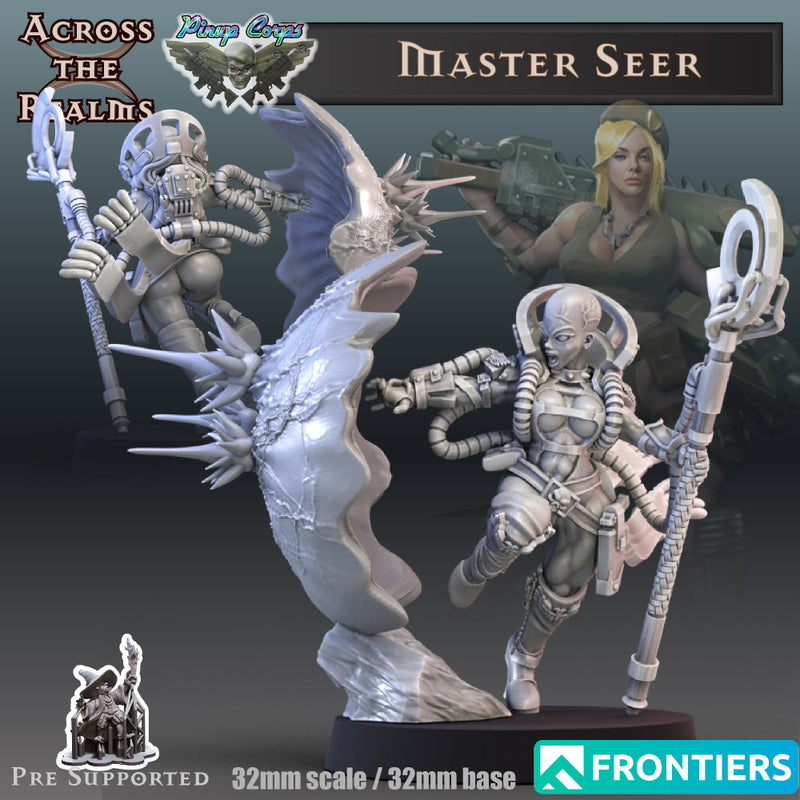 Master Seer - Only-Games