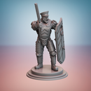 Sanctus Manipulus Chargers (shields) - Only-Games