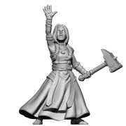AX060 - Wielder of the Faith - Only-Games