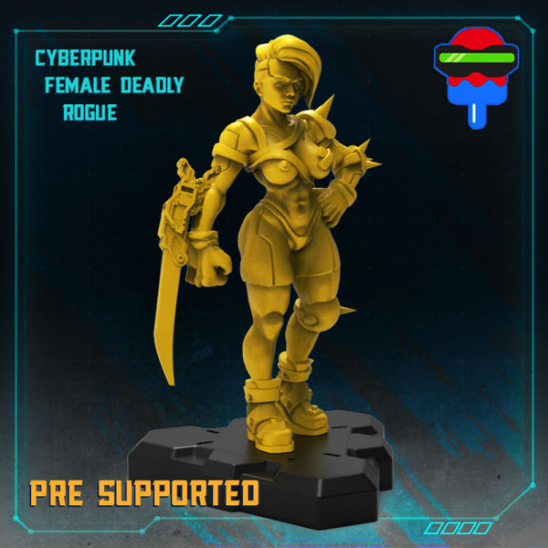 CYBERPUNK FEMALE DEADLY ROGUE - Only-Games