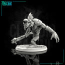 (0034) Male wild Troll with club and axe - Only-Games