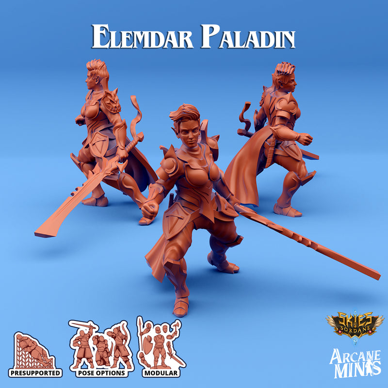 Elemdar Paladin - Pose 2 - Arrodan Syndicate - Only-Games