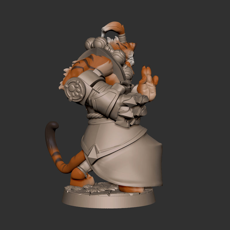 Tabaxi Monk - Only-Games