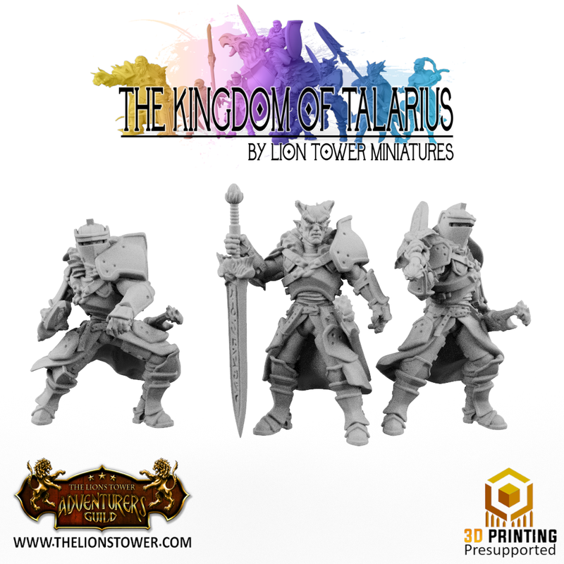 Kingsguard Greatswords(12 x 32mm scale minis) - Only-Games