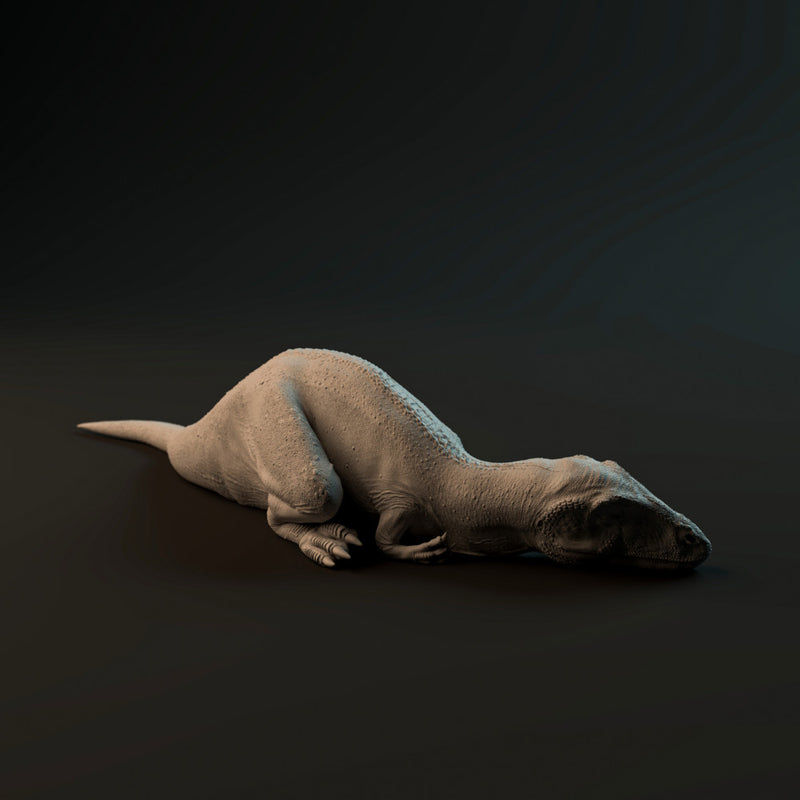 Carcharadontosaurus hatchling sleeping - Only-Games