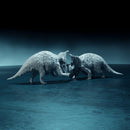 Pachyrhinosaurus duel 1-35 scale dinosaur fight - Only-Games