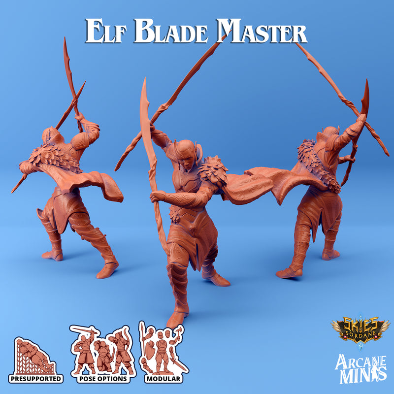 Elf Blade Master - Only-Games