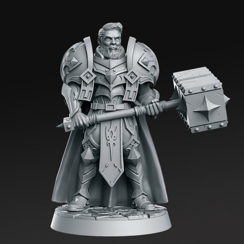 Sir Warrick - Male Paladin - 32mm - DnD - - Only-Games