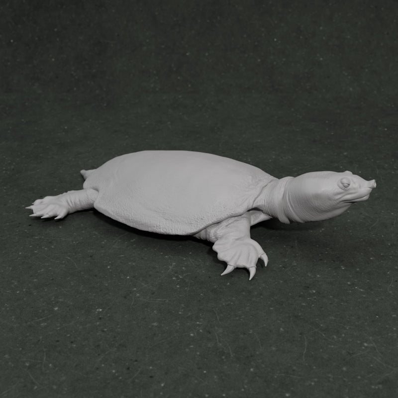 Apertotemporalis 1-35 scale prehistoric turtle - Only-Games