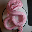 Dragon (Chinese inspired) - Only-Games