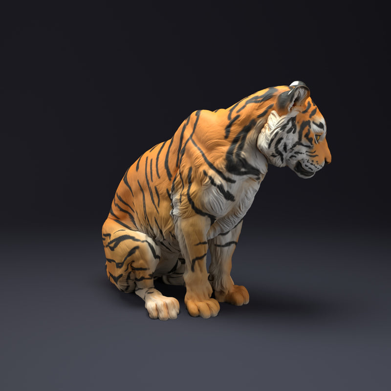 Bengal Tiger Sit 1/43 - Only-Games