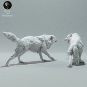 Arctic Wolves Fighting - Only-Games