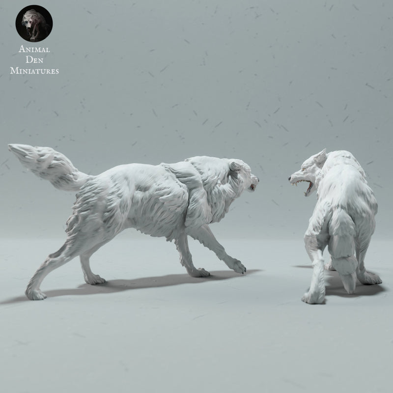 Arctic Wolves Fighting - Only-Games