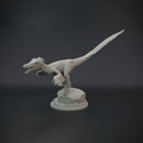 Velociraptor pack 1/20 scale - dinosaur - Only-Games