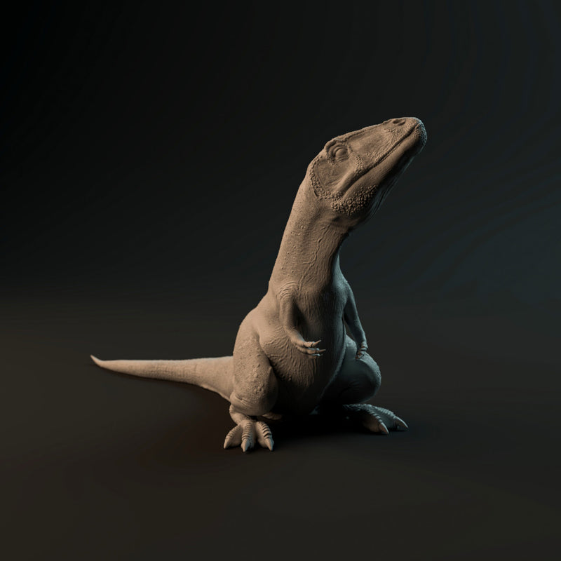 Carcharadontosaurus hatchling sitting - Only-Games