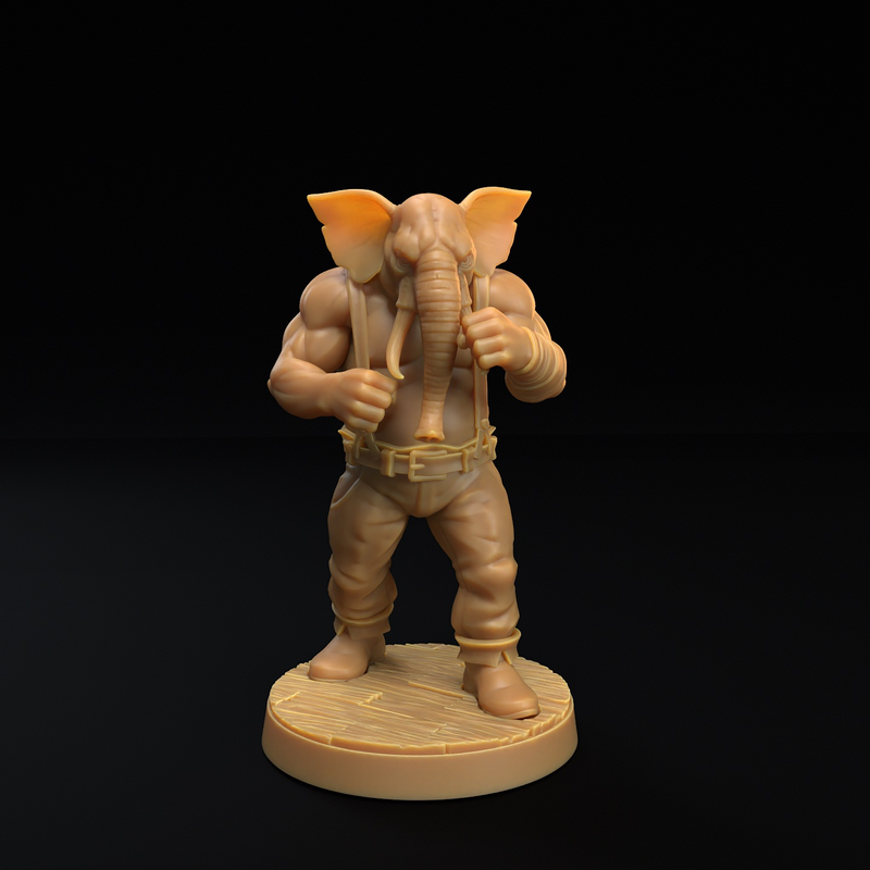 Male Elephant Pirate Boxer - Only-Games
