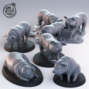Pigs - Only-Games