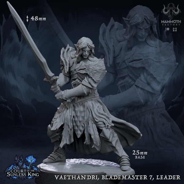 Vaethandri, Blademaster Leader - Only-Games
