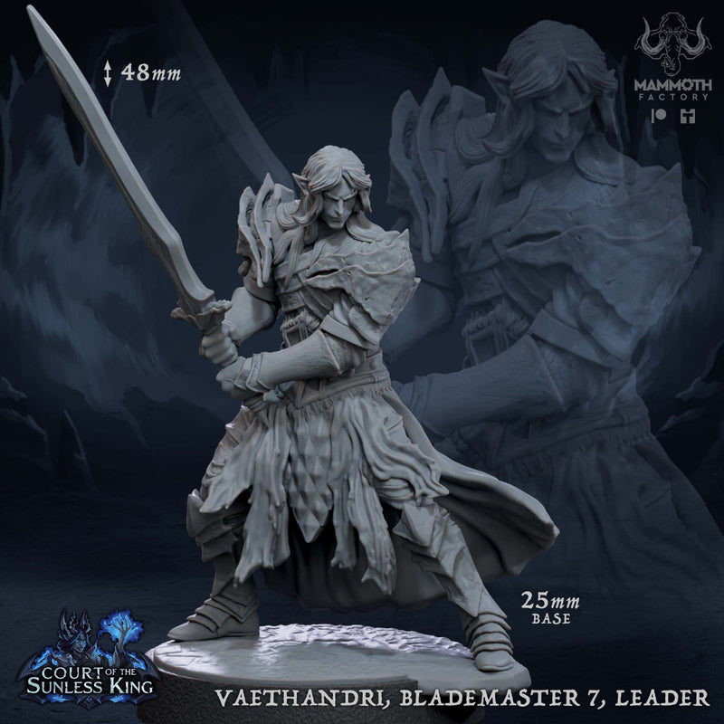 Dralfar Blademaster Warband - Only-Games