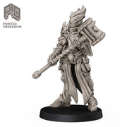 Vale - High Paladin - Only-Games