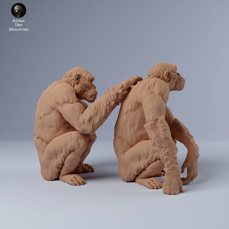 Chimpanzees Grooming 1/43 - Only-Games