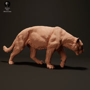 Jaguar 1/43 - Only-Games