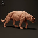 Jaguar 1/43 - Only-Games