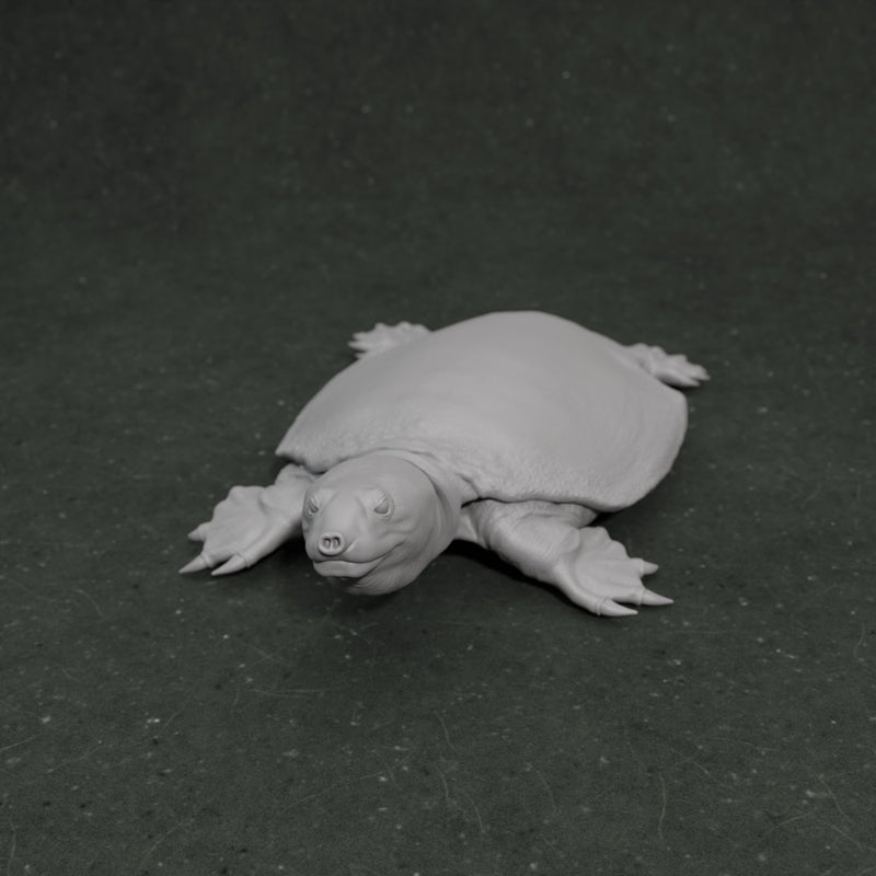 Apertotemporalis 1-35 scale prehistoric turtle - Only-Games