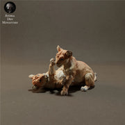 Lion Cubs Playing 1/43 - Only-Games