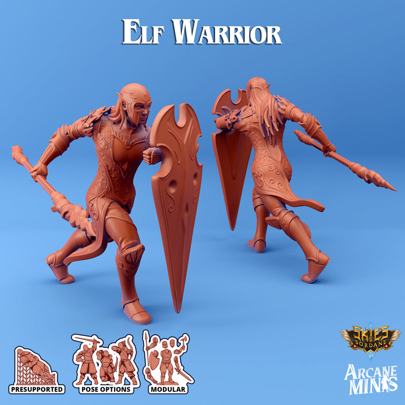 Elf Warrior - Only-Games