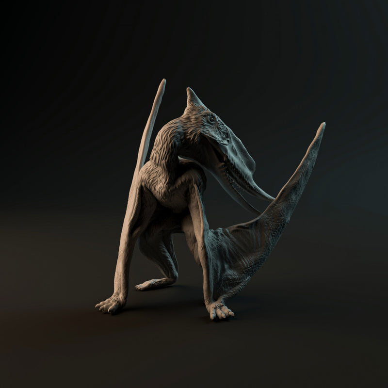 Dsungaripterus cleaning 1-24 scale pterosaur - Only-Games