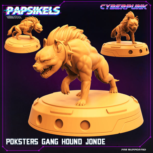 POKSTERS GANG  HOUND JONDE - Only-Games