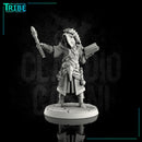 Male human wizard with familiar (0000) - Only-Games