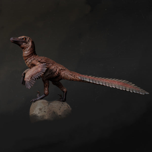 Velociraptor looking 1-20 scale dinosaur