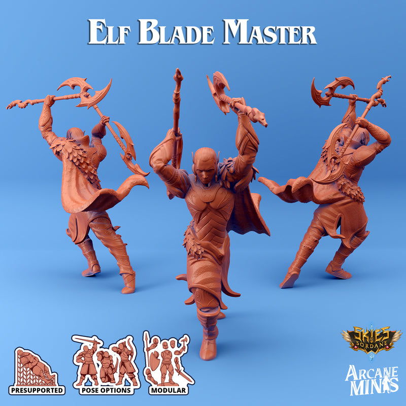 Elf Blade Master - Only-Games