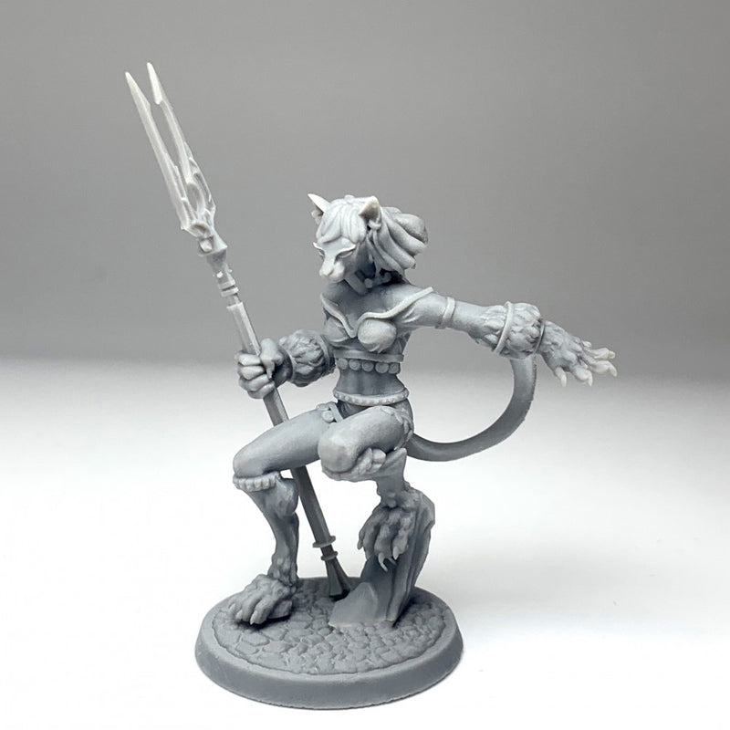Female Tabaxi v2 - Only-Games