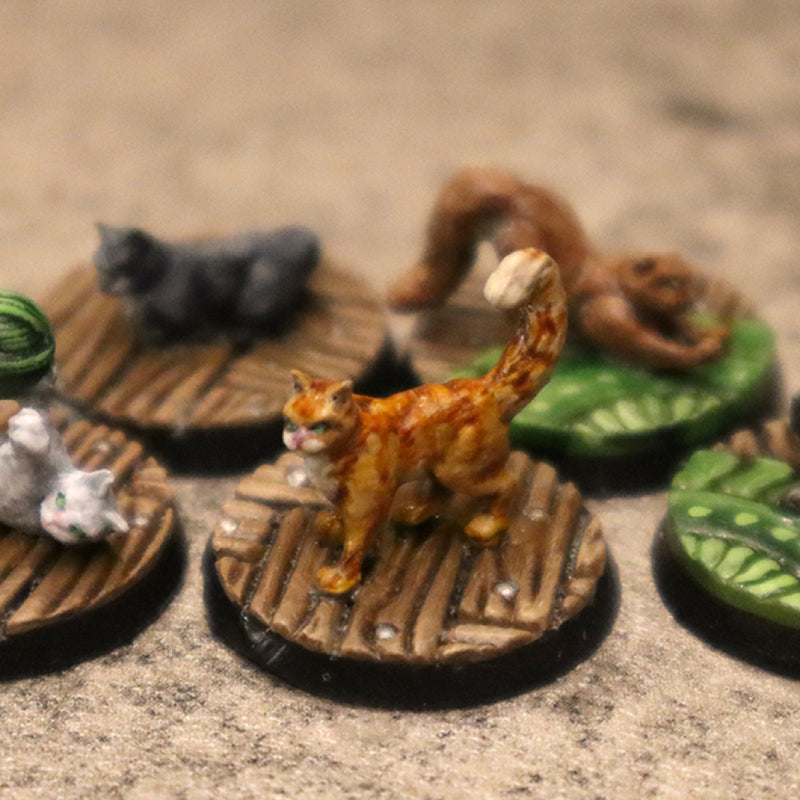 House Cats - 5 Poses - Only-Games