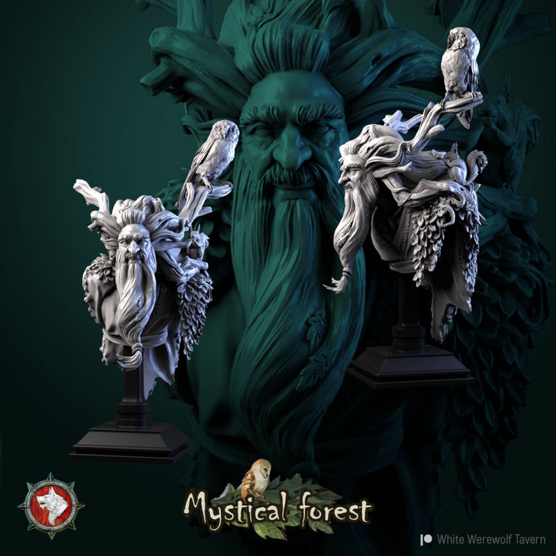 Reidar the Wooden Leg bust pre-supported - Only-Games