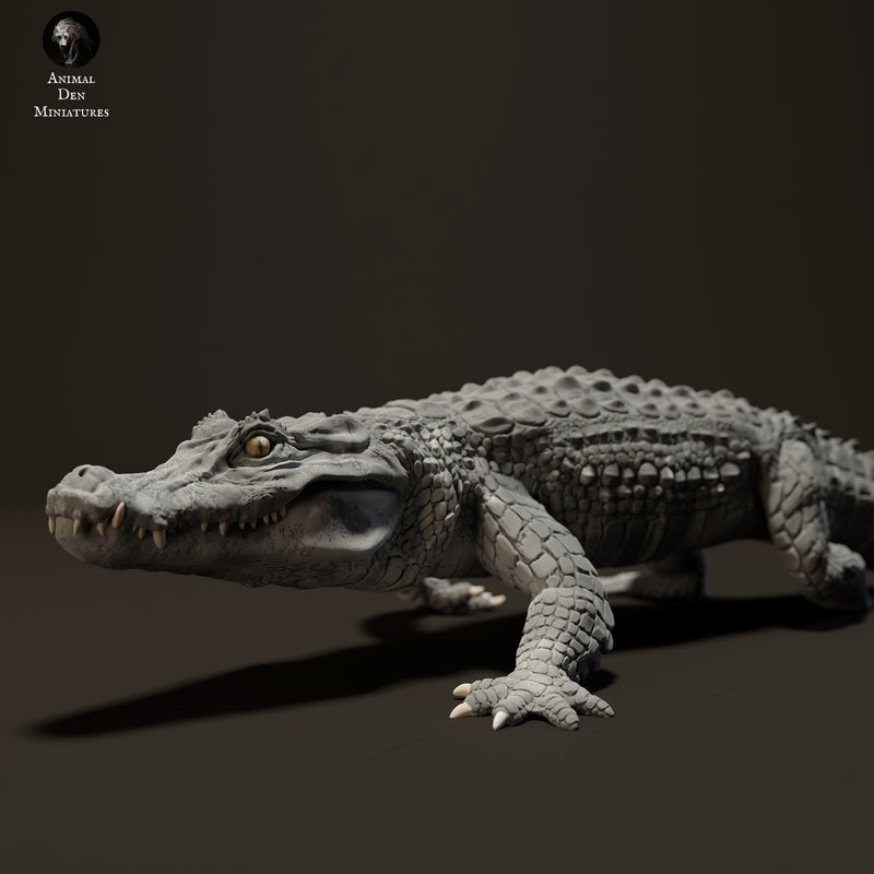 Black Caiman 1/18 - Only-Games