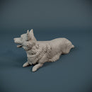 Corgi dog lying down - Only-Games