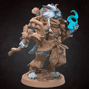 Worgen Druid - Only-Games