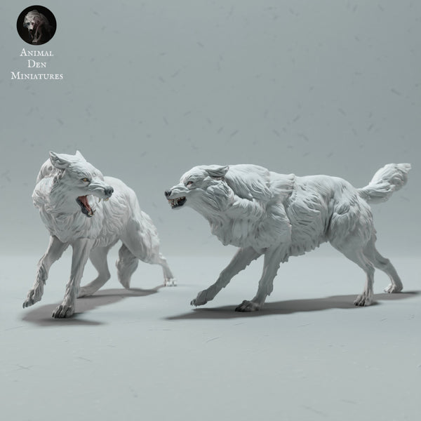Arctic Wolves Fighting - Only-Games