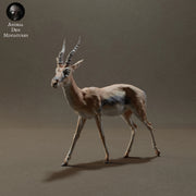 Thomson's Gazelle 1/20 - Only-Games