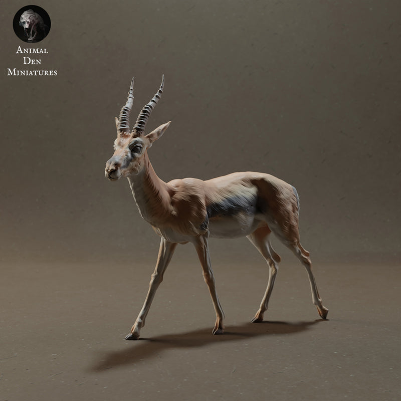 Thomson's Gazelle 1/20 - Only-Games