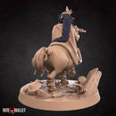 Centaur Bard - Only-Games