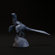 Velociraptor looking 1-20 scale dinosaur - Only-Games