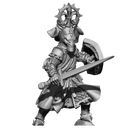 AX040 - Noble Ordre du Loup Hurlant Knight - Only-Games