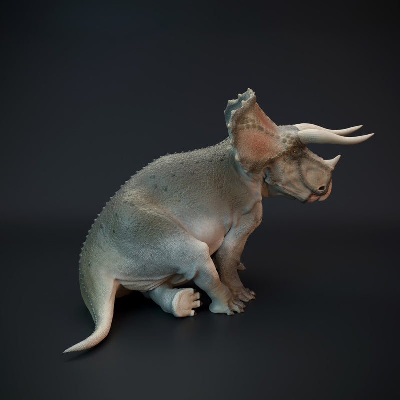 Triceratops resting dinosaur - Only-Games