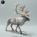 Reindeer/Caribou Bull Calling 1/43 - Only-Games